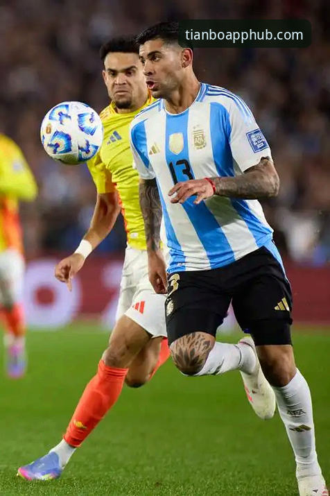 阿根廷新星重伤憾别世界杯，天博体育平台观赛与投注信息获取指南